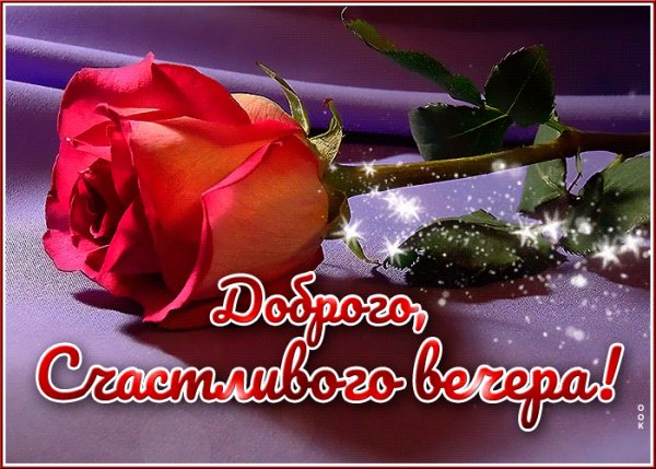 file_99398672