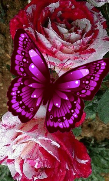 file_99669722