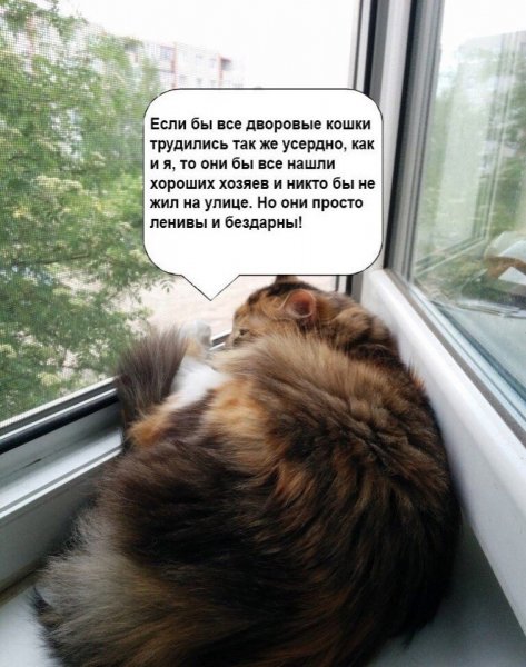file_99953203