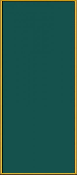 a13f1c240a9d1154194b9361d51