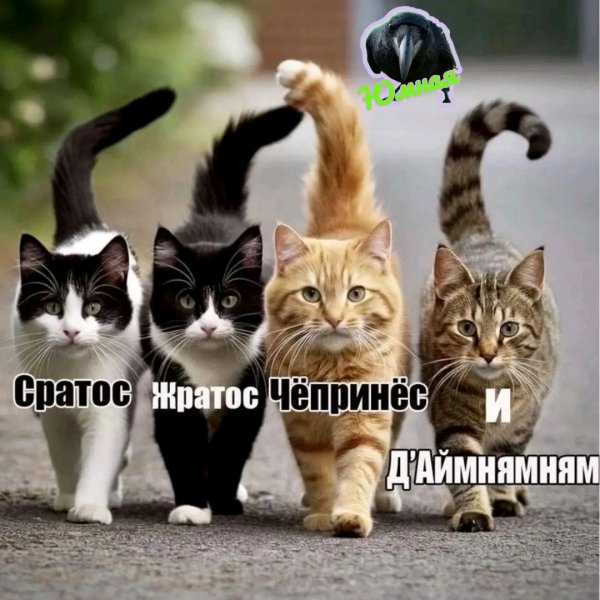 file_99997468