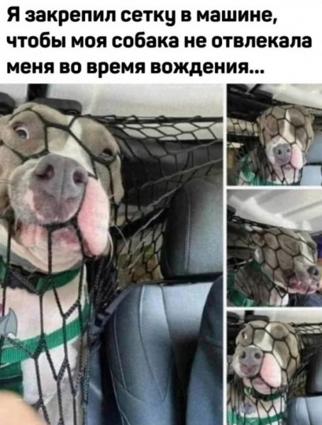 file_99938816