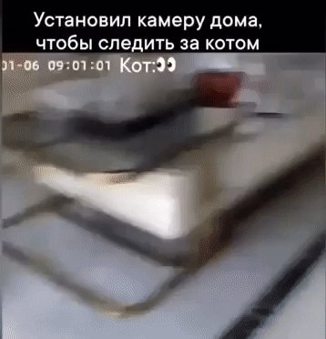 IMG 20250314 095836