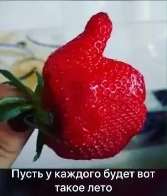 Желаю всем такого лета!!!