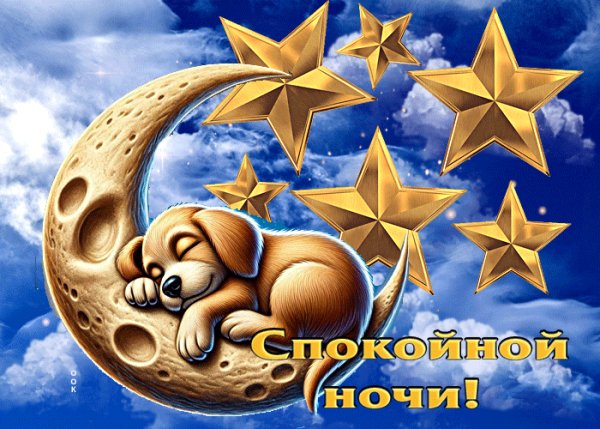 file_99127257