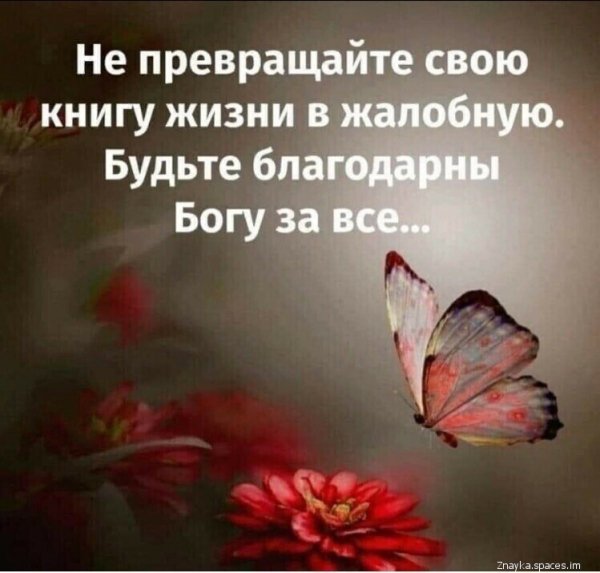 Image- (1)