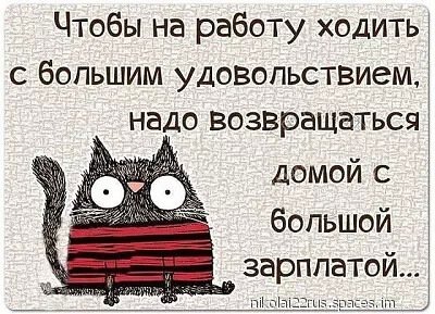 i (2365)-