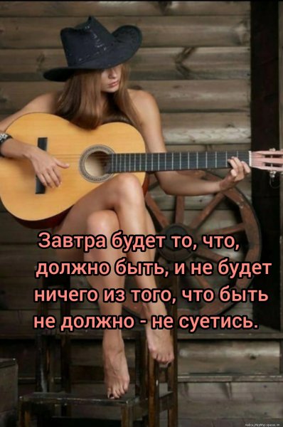 file_91115993