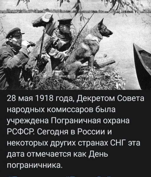 file_99911554