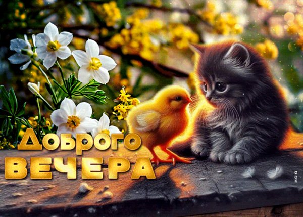file_99507221