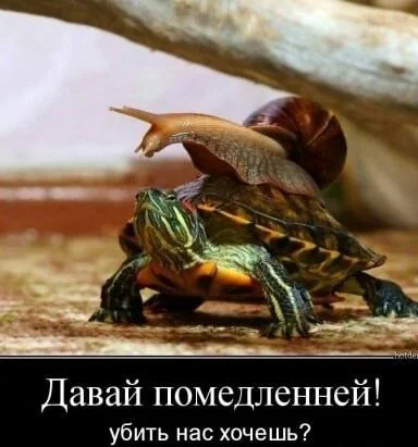 IMG 20250606 180214 211