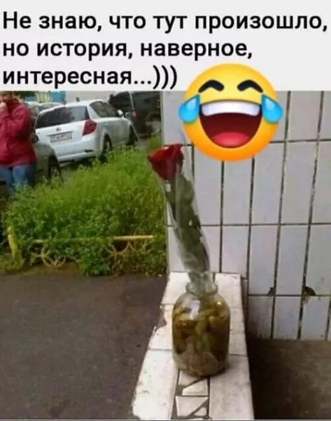 x500