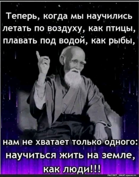FB IMG 16821385833317086-