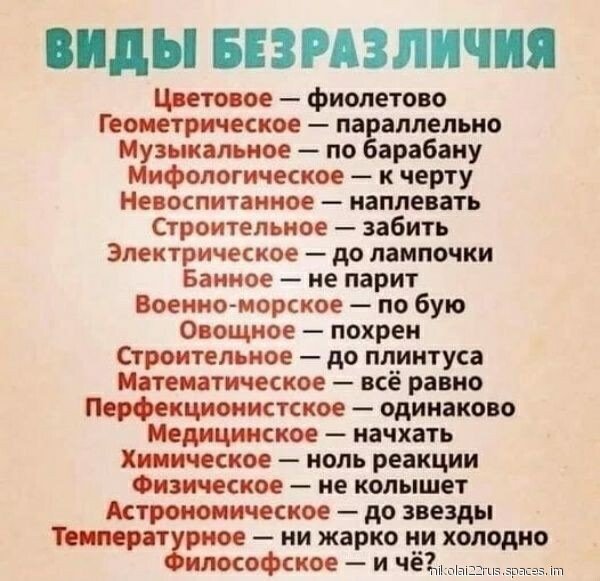 i (2361)-