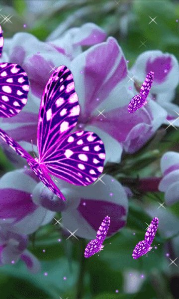 file_99602600