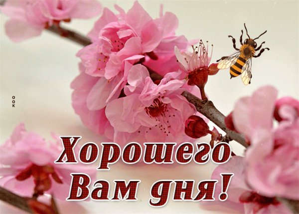 file_99657784