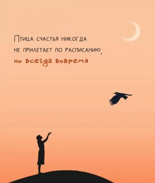 IMG 20250531 201039