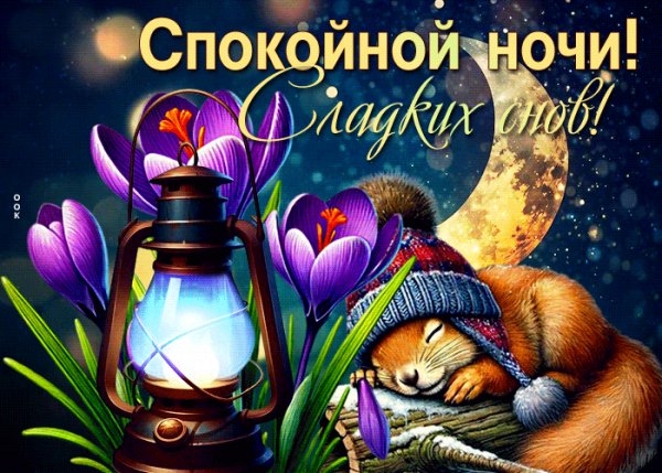 file_99500396