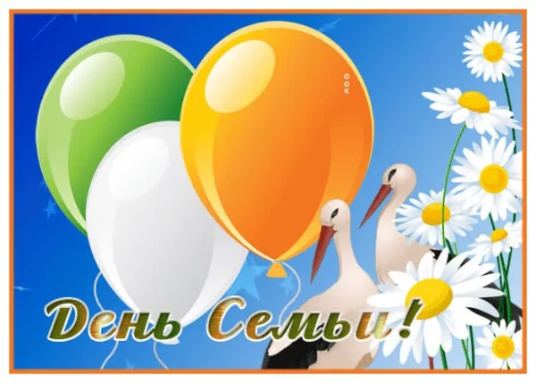 IMG-20250515-WA0017