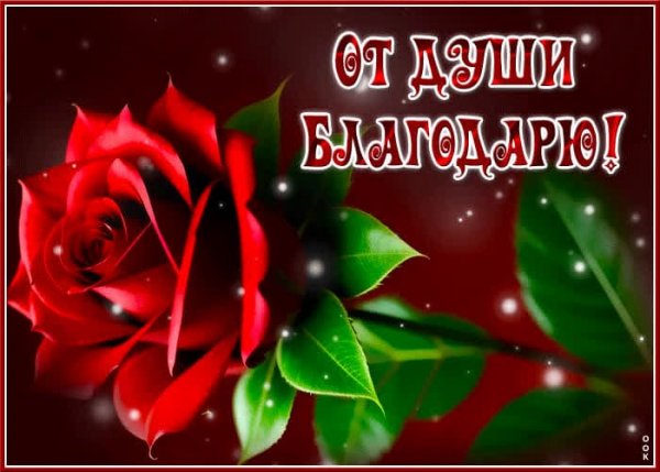 IMG-20250513-WA0061