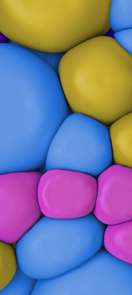 adapted 1080x2400 1748774621