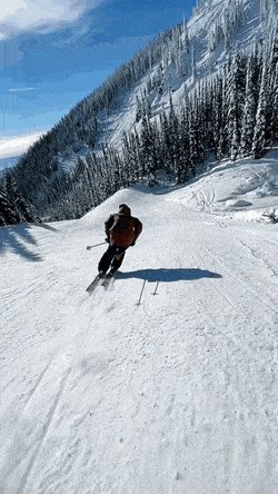 На лыжах