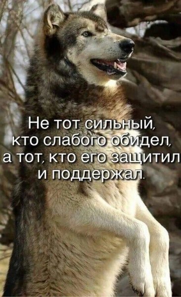 IMG 20250602 040810