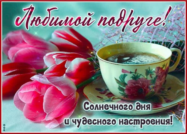 IMG-20250513-WA0062