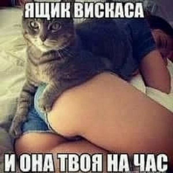 file_99938807