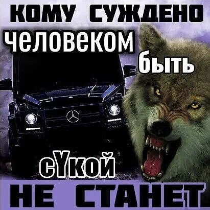 IMG 20250531 200223