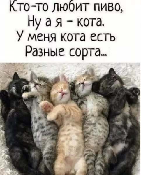 file_99998655