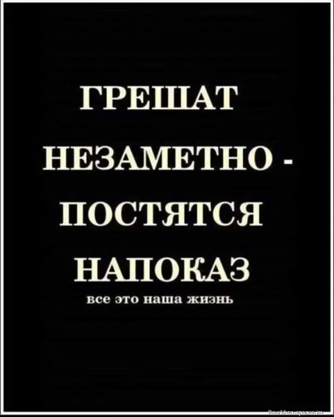 file_93391706