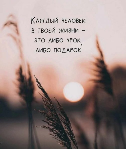 FB IMG 1748015270492
