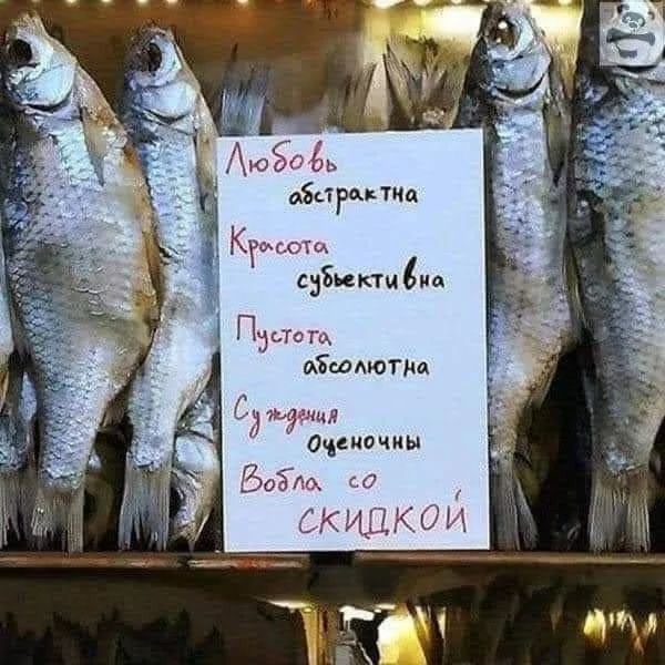 IMG 20250606 181747 948
