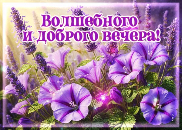 file_99863544