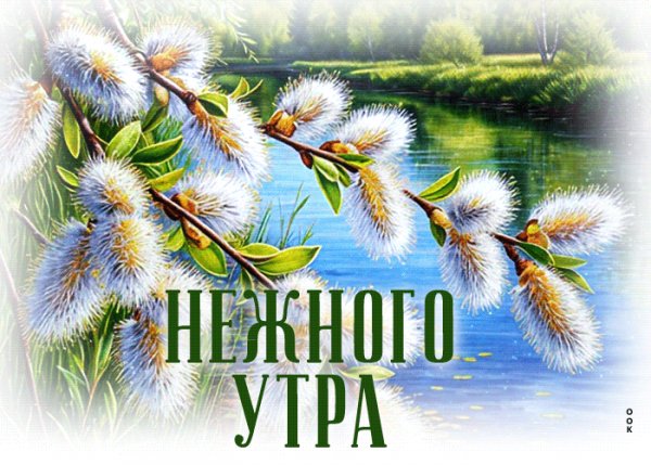 file_99657761