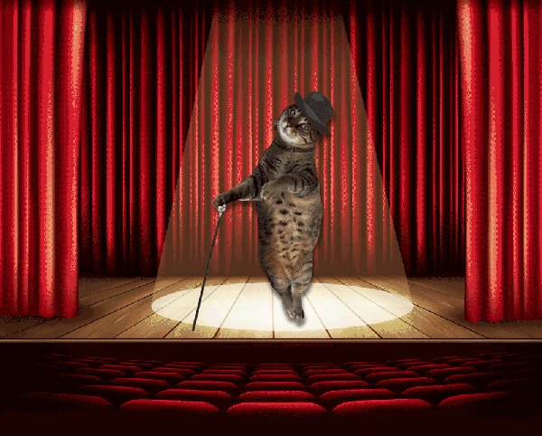 Animation-dancing-cat-pixelbox.ru-41