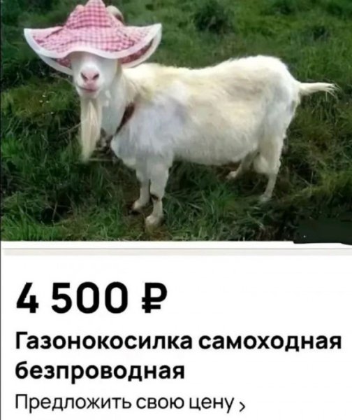 file_99938809