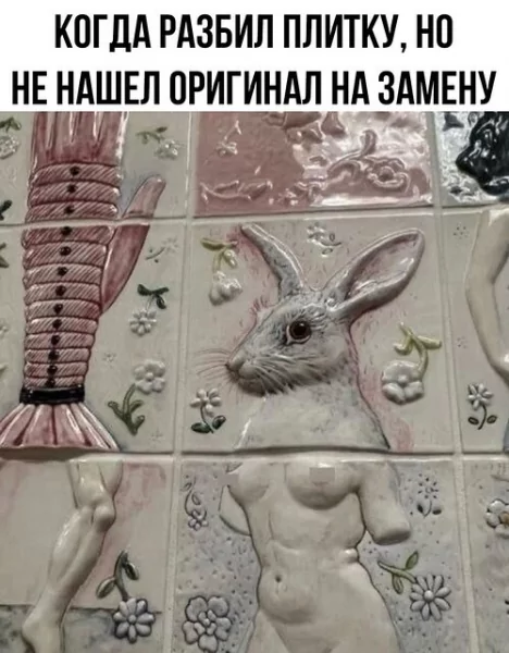 x500