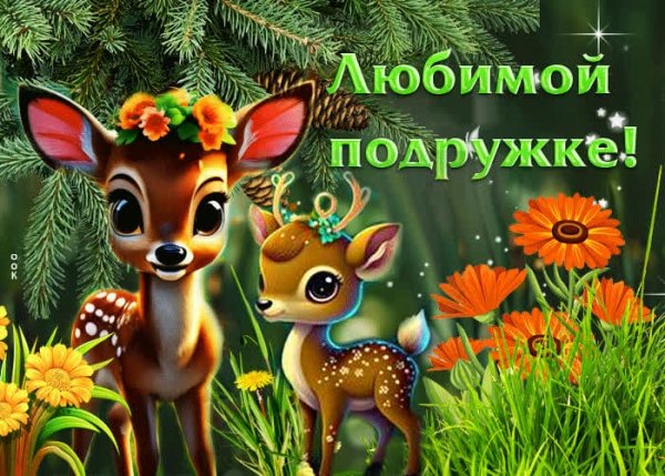 IMG-20250513-WA0050