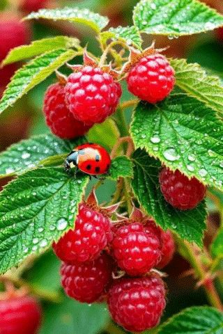 file_99943518