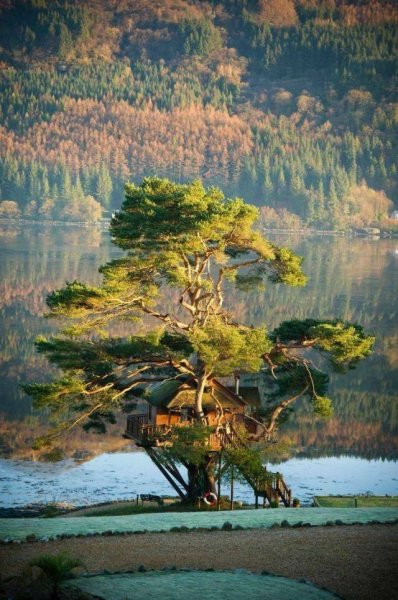 К.Красота