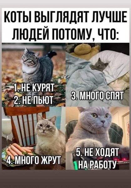 FB IMG 1748639389242