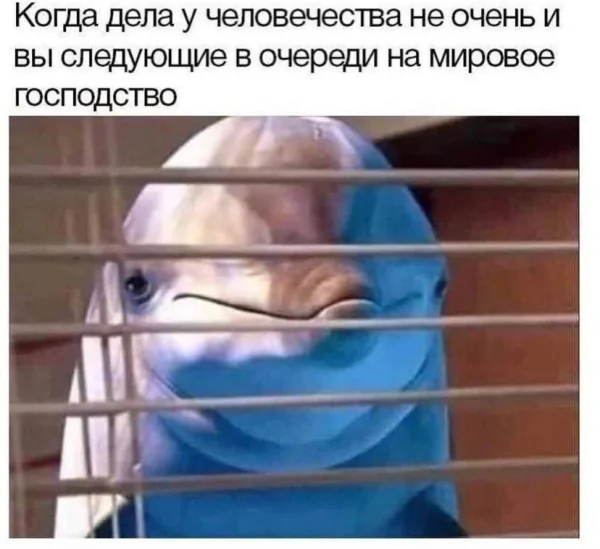 IMG 20250604 115716 864