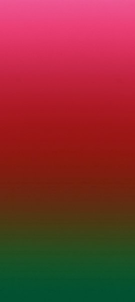 adapted 1080x2408 1749219140