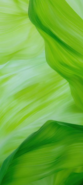adapted 1080x2408 1749178969