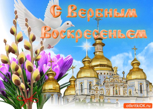 file_99528826