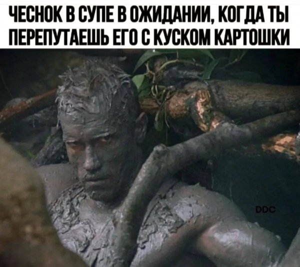 IMG 20250604 114611 774