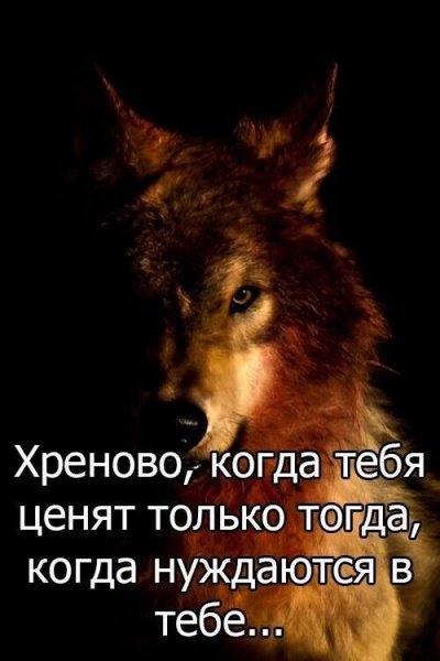 IMG 20250531 200752