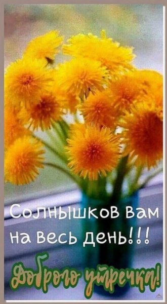 IMG-20250601-WA0009